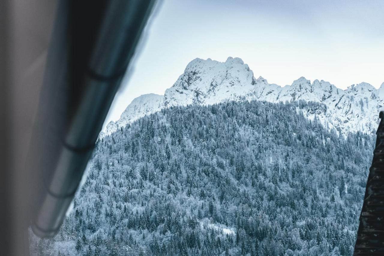 Podlipnik * Kranjska Gora